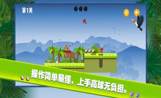 小金雨林球赛  V 1.0