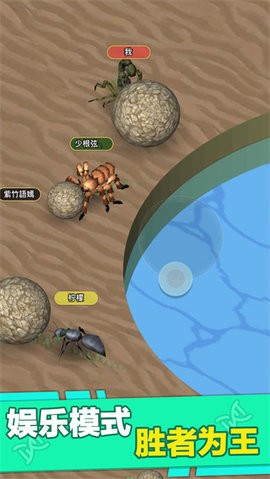 昆虫进化大乱斗mod版  v1.4