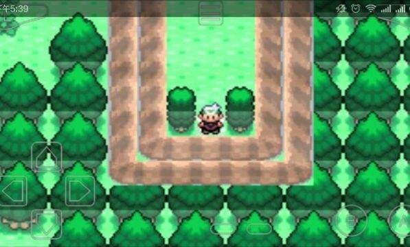 口袋妖怪神兽领域汉化版 v2021.09.23.22