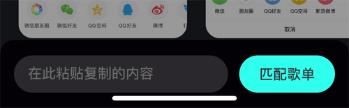 波点音乐app最新版