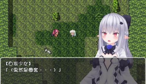 白发精灵和魅魔之书安卓汉化版 v3.2