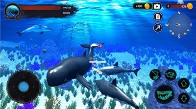 抹香鲸模拟器  v1.0.1
