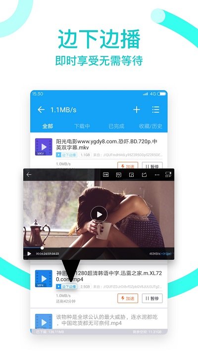 迅雷5.8稳定版 v5.8.2.3240