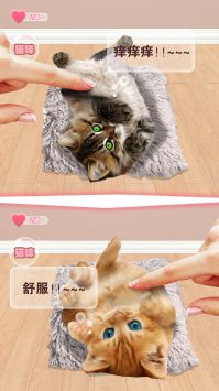 猫咪语言翻译器 v3.0.5