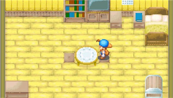 牧场物语矿石镇的伙伴们金手指版 v2.0