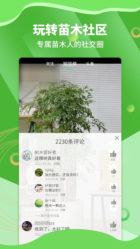 苗木通 v5.12.0