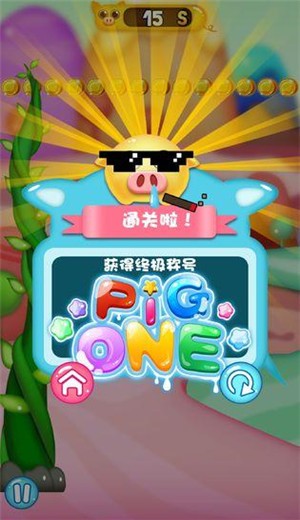 PigOne v1.1