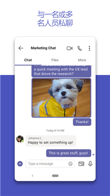 MicrosoftTeams  v14161.0.0.20231