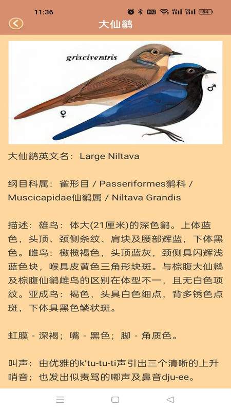 鸭鸭的世界软件官方版  v5.3.2