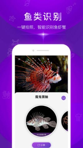 拍照识别鱼品种截图0