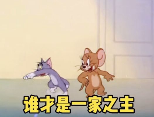 谁才是一家之主猫和老鼠表情包图片 v1.0