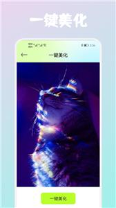 wink照片修复  v1.5