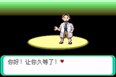 口袋妖怪绿宝石493 v3.2.5
