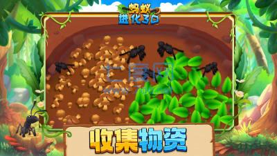蚂蚁进化3D正版 2.3
