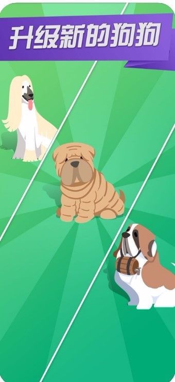 开心犬舍  V 1.1.7