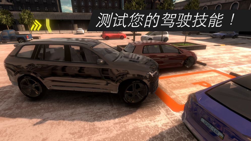真正的停车场:停车大师截图1