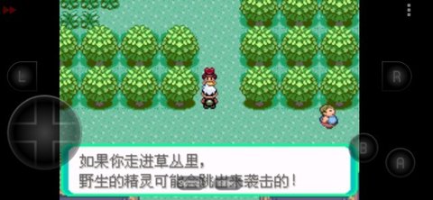 口袋妖怪鲤鱼王的逆袭内置菜单