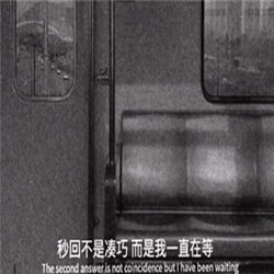 抖音秒回不是巧合而是我一直在等你图片 1.0