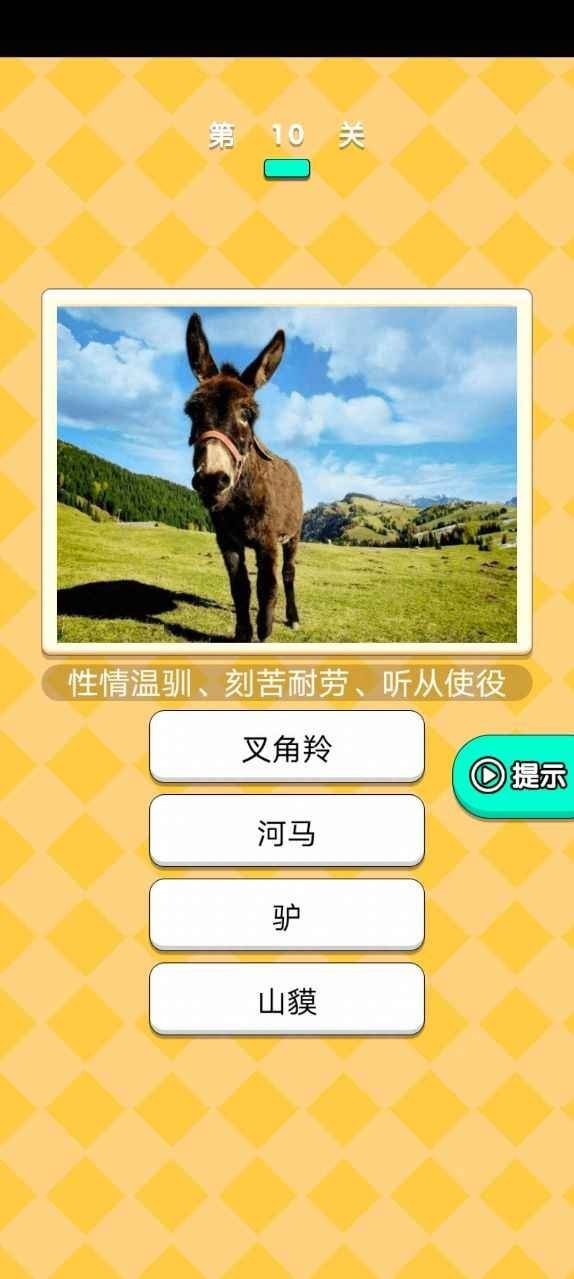 动物研究院 v1.3