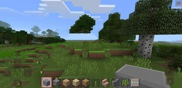 1625196082534163.jpg 1625196082534163.jpg