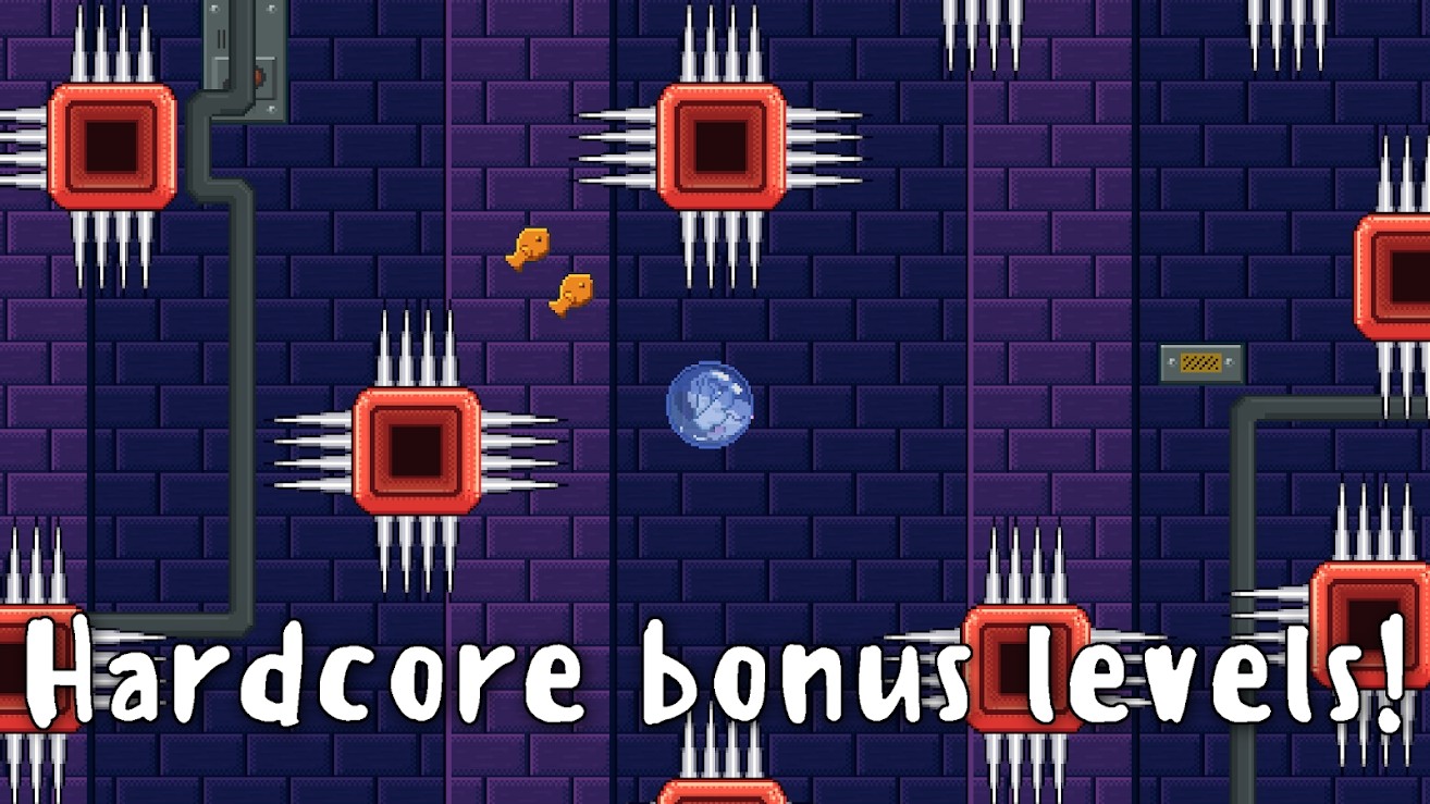 Bubbles the Cat泡泡猫最新版免费版  v4.0.2