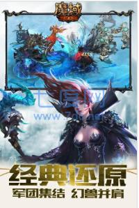 幻兽觉醒单机版