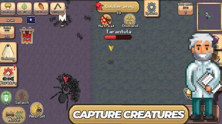 口袋蚂蚁殖民地模拟器 v3.0.5