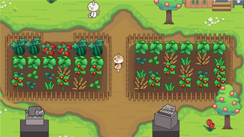 猫咪森林露营地的故事 v2.22