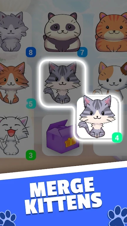 凯蒂合并.jpg 凯蒂合并.jpg