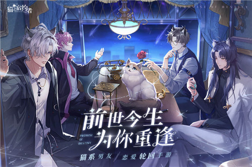 猫之宿约者下载 v3.5.2