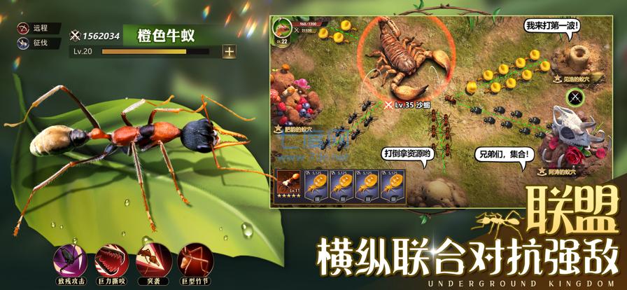 小小蚁国破解版