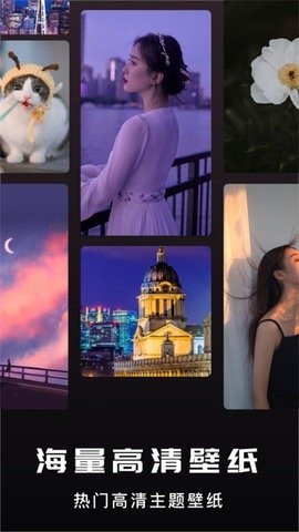 萤火虫壁纸 v1.2