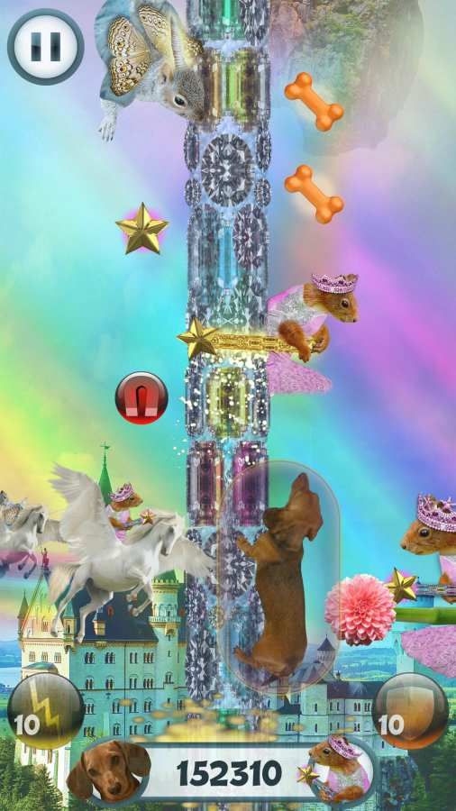 野蛮腊肠犬手机游戏最新版  v4.2.4