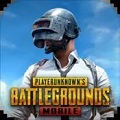 pubg国际服 下载最新版本2023