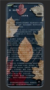 纯纯写作  v 25.1.2