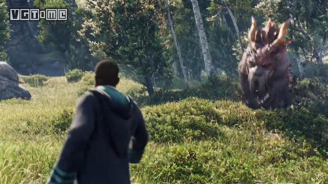 霍格沃兹遗产Hogwarts Legacy中文官方版游戏图片1