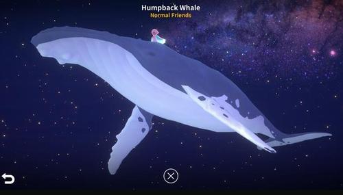 深海庭院手游 v1.13.1