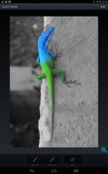 aviary v3.0.5