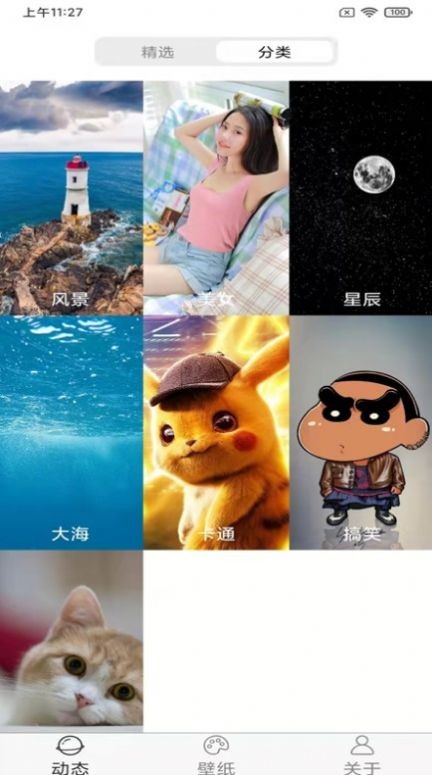 飞花动态壁纸  v1.1.0