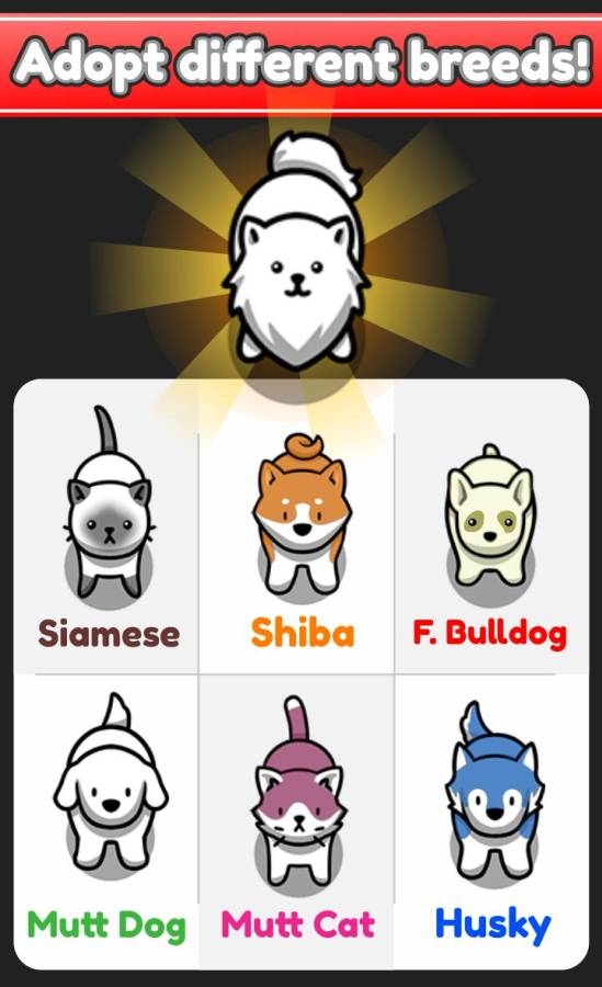 云养宠物 云养宠物