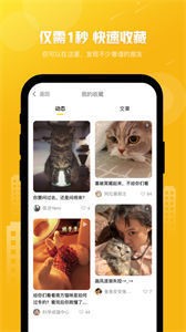 友猫app  v2.9.21