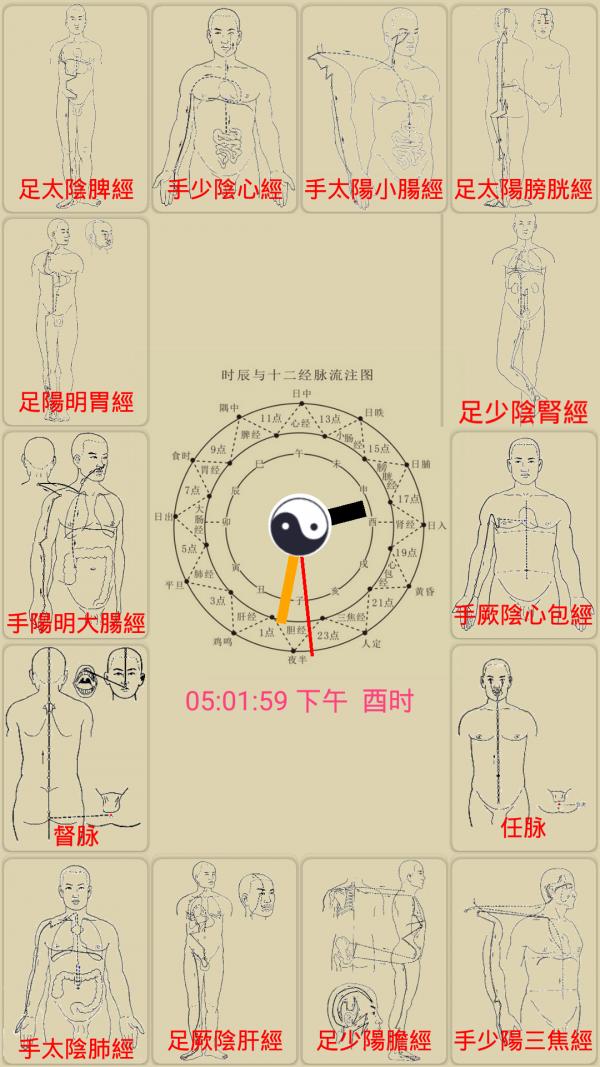 中医经络穴位流注 版本:v2.2