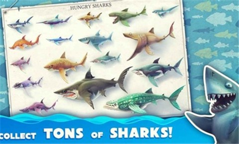 饥饿鲨世界4.0.2 v4.0.2