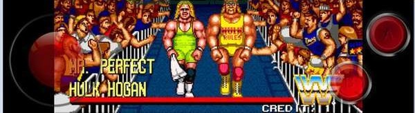 世界专业摔角游戏最新安卓版  v4.2.4