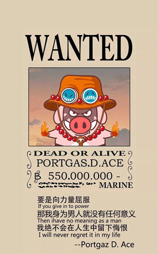 爱5猪猪海贼