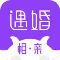 遇婚相亲