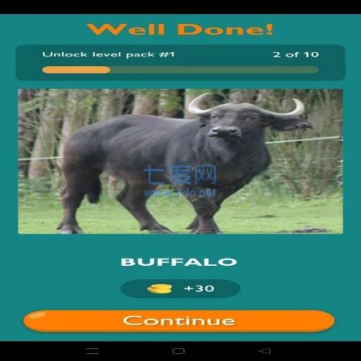 动物知识大挑战Animal Quiz