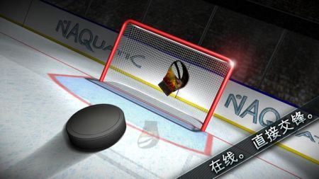 曲棍球决战Hockey Showdown v3.0.5