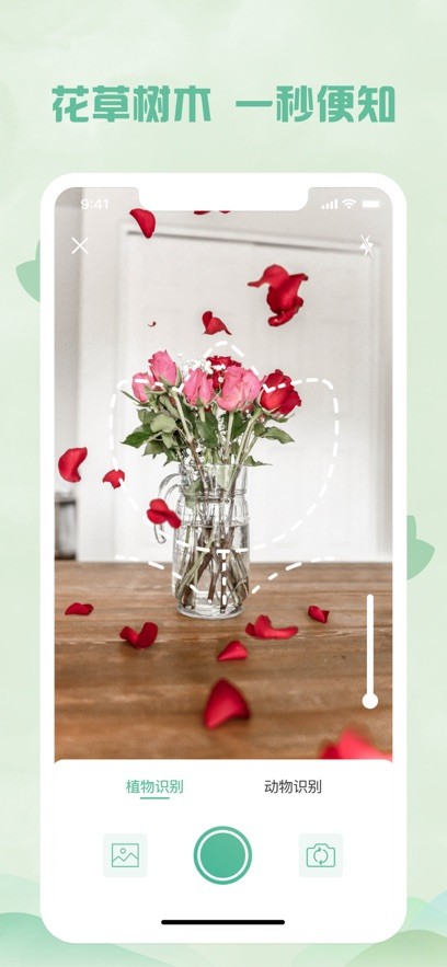 拍照识物  V 1.0