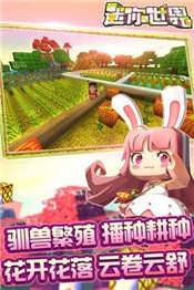 迷你世界国际服中文版  v0.54.5